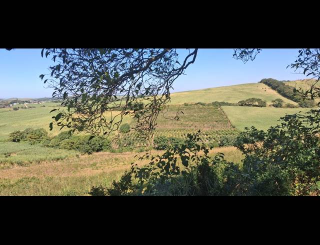 FARM FOR SALE IN HIGH RIDGE
